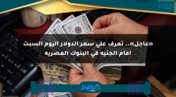 «عاجل».. تعرف على سعر الدولار اليوم السبت أمام الجنيه في البنوك المصرية
